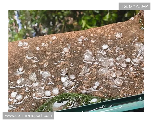 “天气变化：暴雨雪雹中的激烈战火”，暴雨冰雹天气危害